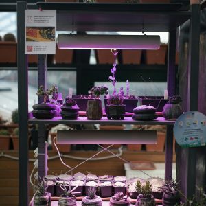 Smart Greenhouse Automation Course