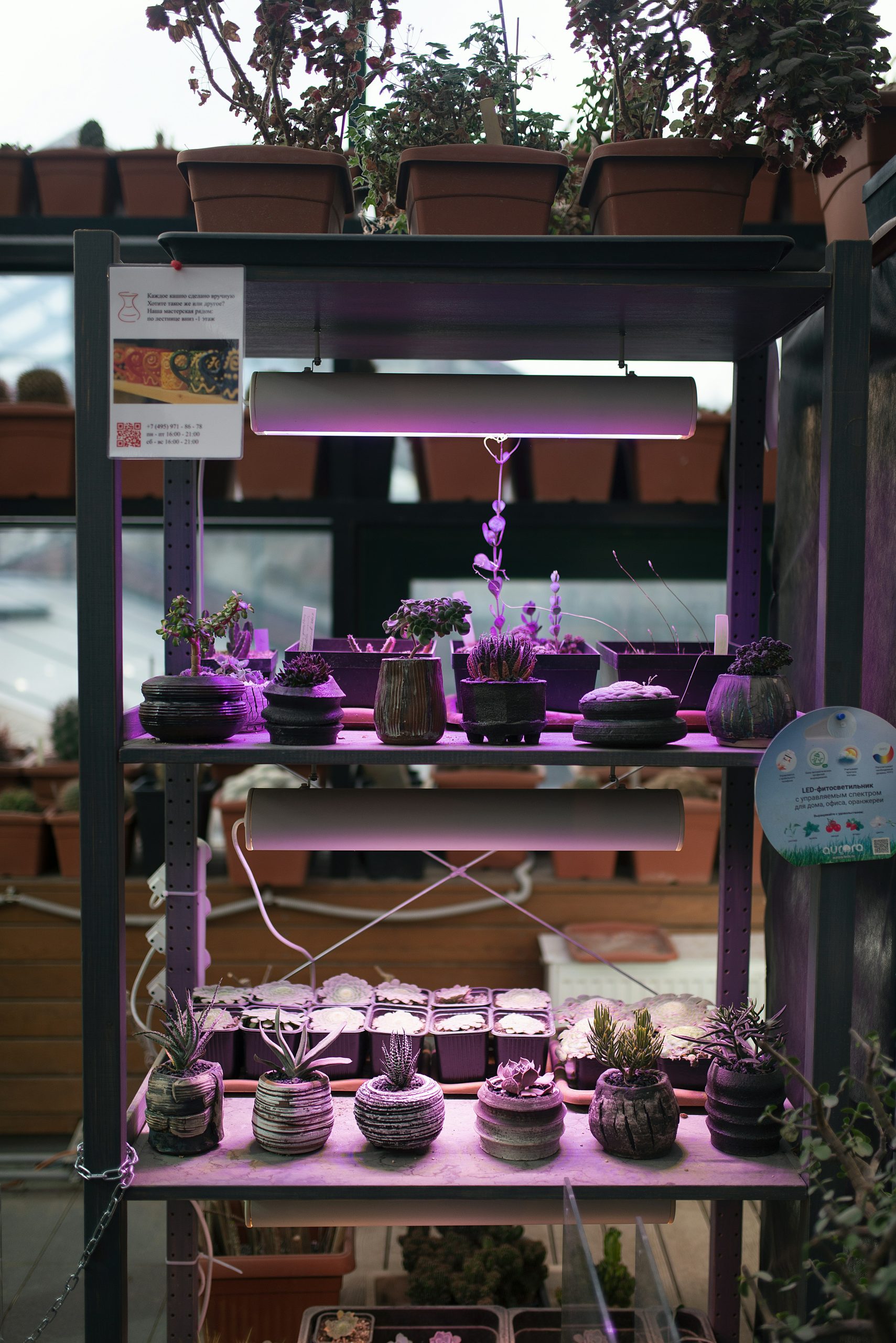 Smart Greenhouse Automation Course