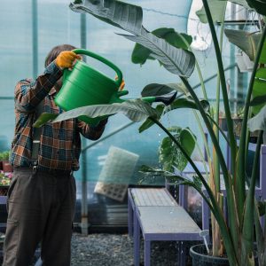 Pest and Disease Management for Home Greenhouses