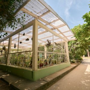 Sustainable Greenhouse Practices Workshop