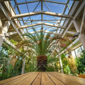 The Art of Indoor Greenhouse Design