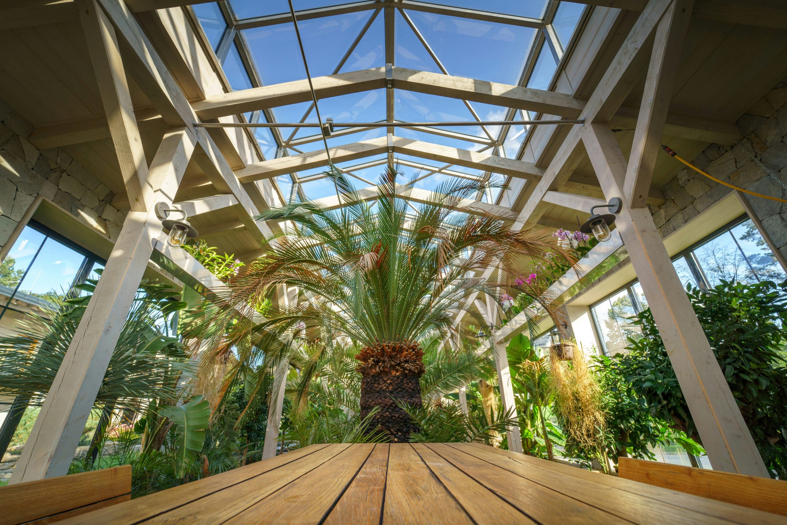 The Art of Indoor Greenhouse Design