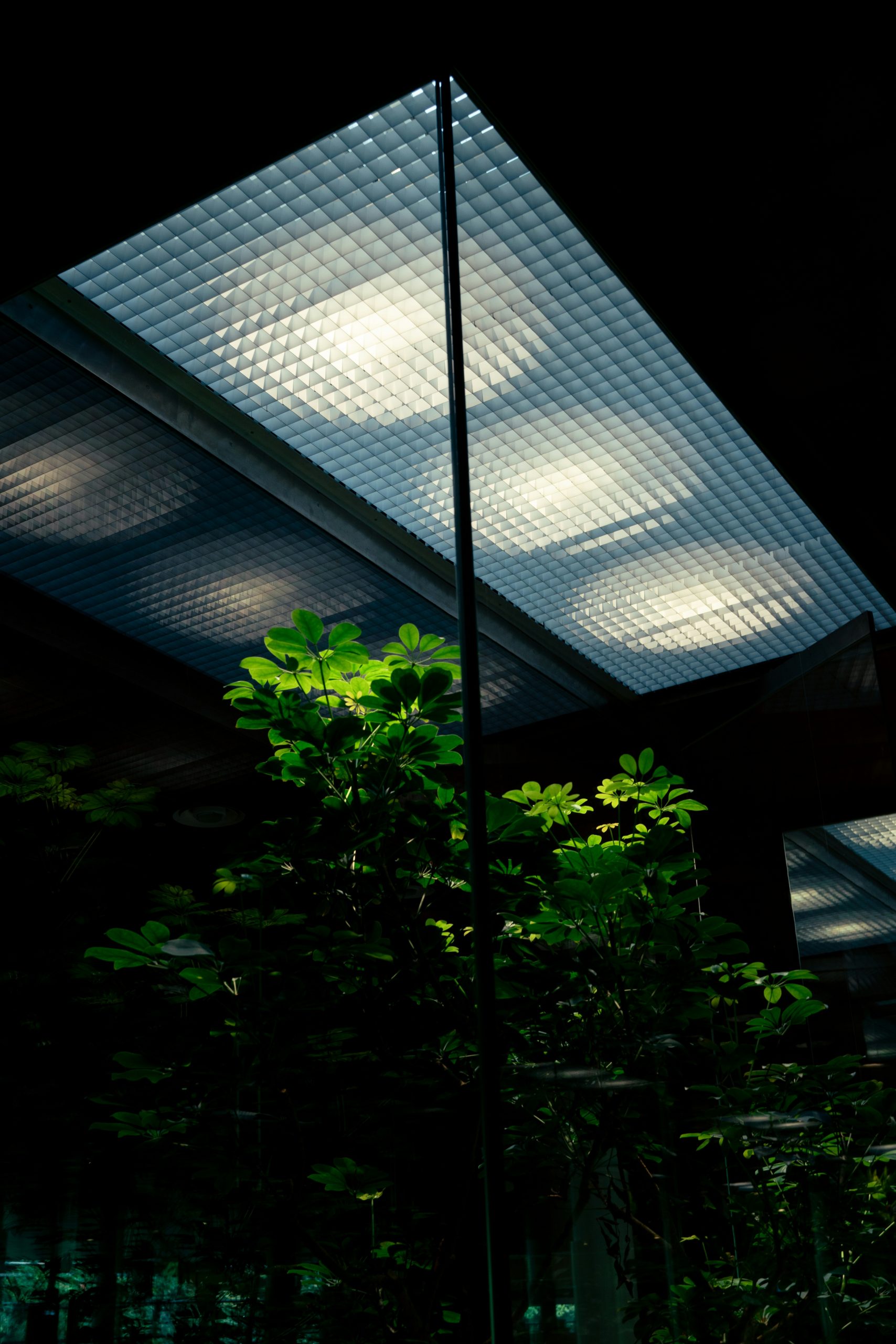 Lighting Systems for Home Greenhouses